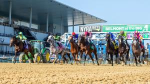 Belmont at the Big A, Eclipse Sportswire